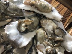 海蛎子-东镇老火锅(长春路首店)