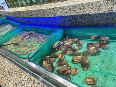 -初色海鲜自助(万丰路店)