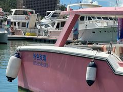 -小猫钓鱼海钓俱乐部(椰梦长廊店)