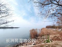-树山生态村