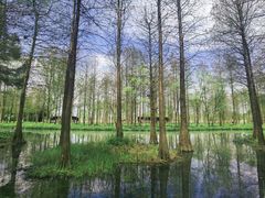 -西溪国家湿地公园