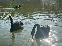 -水上乐园·欢乐世界