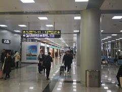 环境-长沙黄花国际机场-T1航站楼