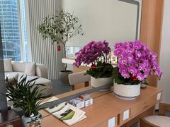 -泉·颂钵冥想·减压·疗愈SPA(前海店)
