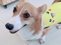 -怪兽屋·羊驼·猫咖·狗咖(俊华广场店)