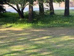 -黑龙江省森林植物园