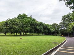 -东莞植物园