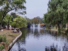 -上海共青森林公园