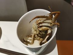 -星伦多自助料理·涮烤一体(江桥万达店)