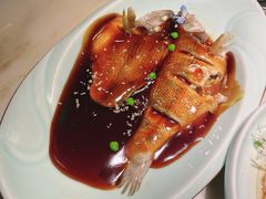 -枚青·临安酒肆(腾飞大厦店)