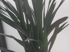 -泰之源足浴会所(玉环店)
