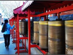 -护国法轮寺
