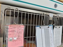 -美联众合动物医院·24h京西诊疗中心
