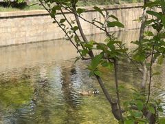 -元大都城垣遗址公园