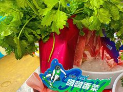 -小龙坎火锅(春熙太古里店)