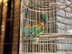 -鱼桥巷·美学川菜