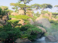 -罗红摄影艺术馆