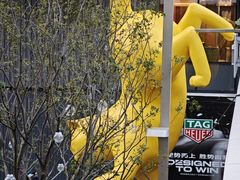 -深圳湾万象城(南山店)