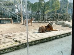 -常州淹城野生动物世界