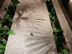 -新紫霞养生·影院足道·SPA(金山区店)