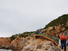 -广东惠东海龟国家级自然保护区
