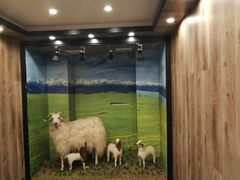 -清真·益鑫羊肉手抓馆(花园北街店)