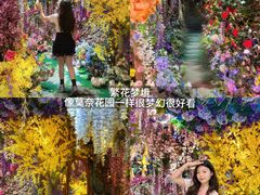 -正佳雨林生态植物园
