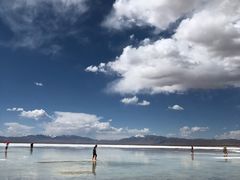 -清真·胖妈妈手抓餐厅(定西路长城宾馆店)