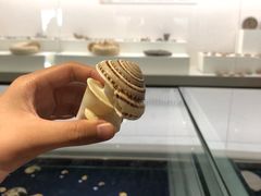 -青岛贝壳博物馆