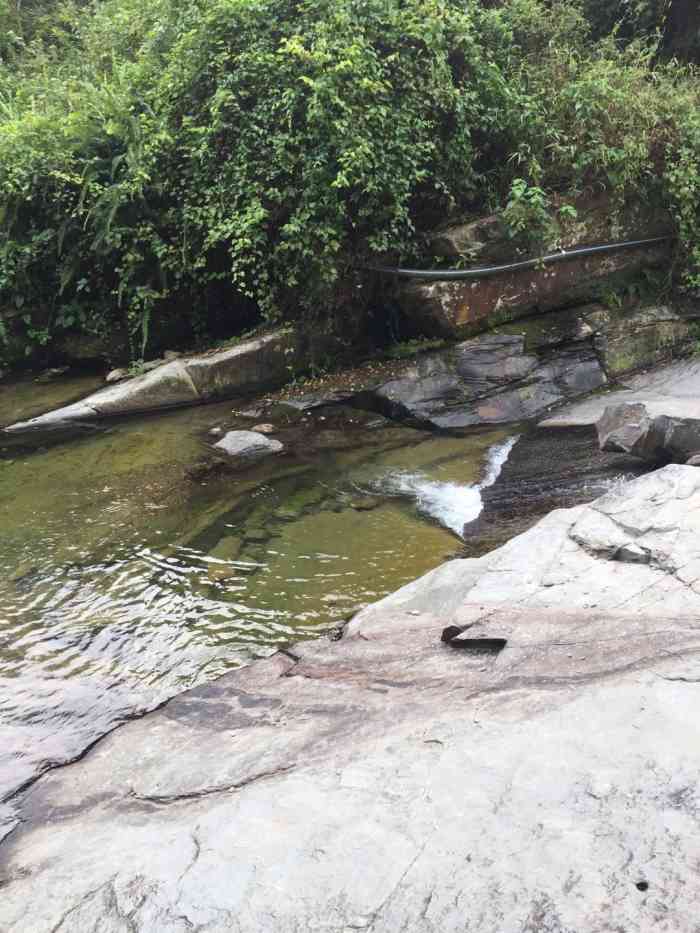 龙溪山庄-"四月清明时节雨纷纷,冒着雨中骑行原来也是.