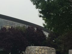 -北京国家会计学院