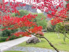 -温州永嘉书院