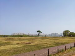 -盘龙城国家考古遗址公园