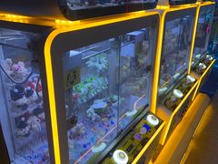 -风云再起游乐汇(北京西单西西友谊店)
