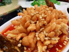 菊花鱼-白魁老号饭庄(交道口店)