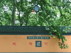 -灵谷景区