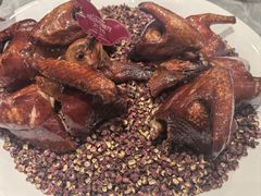 -朱记乳鸽王·非遗石岐乳鸽·全鸽宴(大兴旗舰店)