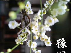 -豫园