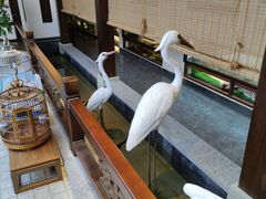 -蘭奢雅集·江浙菜(青山江滩店)