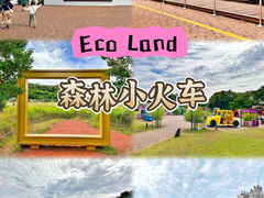 -济州森林小火车生态公园
