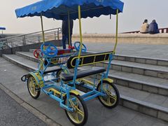 -上海滨江森林公园