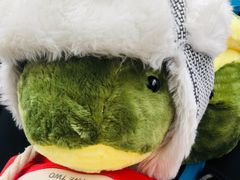 -绍兴启迪乔波冰雪世界