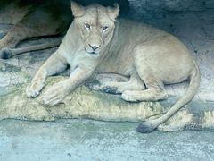 -北京野生动物园