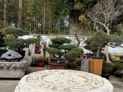 -龙华素斋(龙华路店)