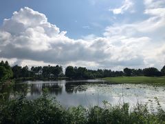 -东庄海岸高尔夫俱乐部