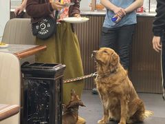 -奉天蚨祥饺子馆