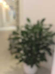 -天津伊美尔医疗整形美容专科医院