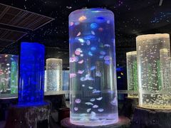-锦艺城海洋馆