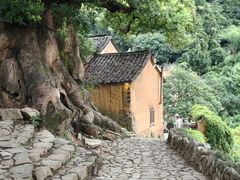 -杨家堂村
