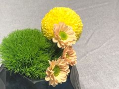 -南堂馆·新川菜(春熙路店)